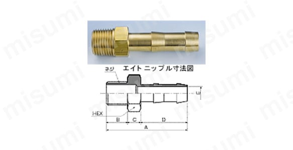 エイトニップル B:関連画像