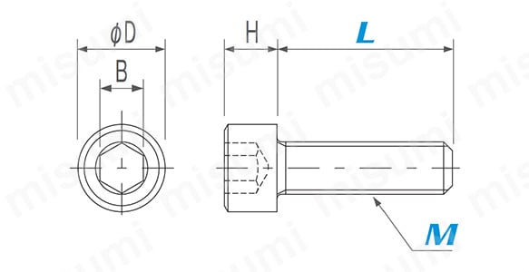 PVC/CB-M4-L10 | PVC（ポリ塩化ビニル） 六角穴付ボルト | 日本