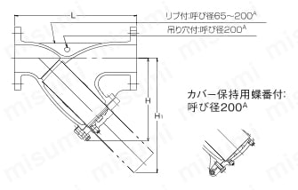 10-DTF-N-150A | 10K型 ダクタイル鋳鉄フランジ形ストレーナ（Y形