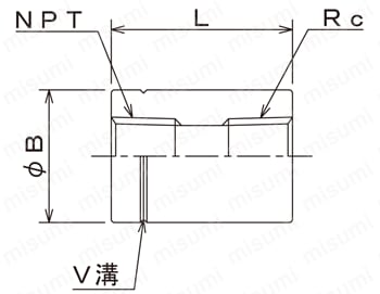 配管用特殊継手 NPT×PTS/ソケット 外形図01