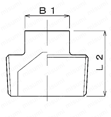 ステンレス製ねじ込み管継手 四角プラグ | ナゴヤ | MISUMI(ミスミ)