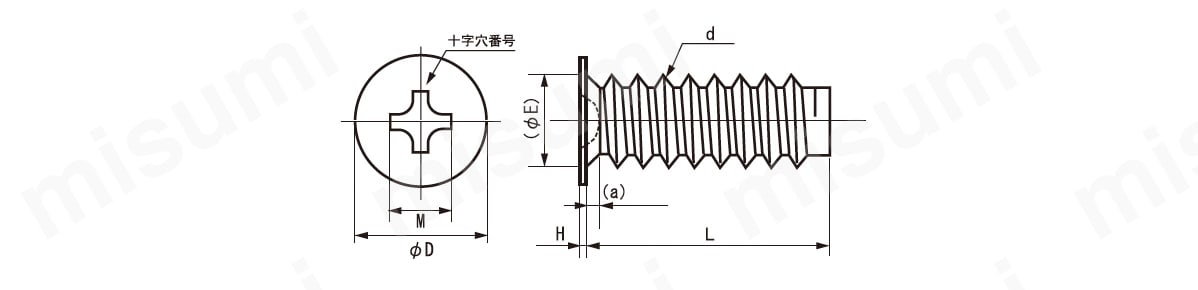 鉄 ラミクス Bタイプ 薄頭（D=2.5） H2型 日東精工製:関連画像