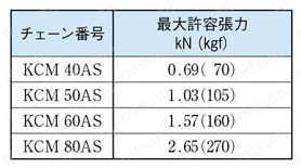 片山チエン KCM ローラチェーン50-2 502RP192L(2245931) JAN