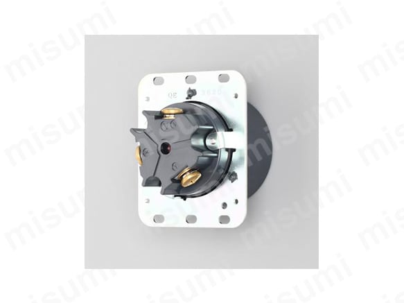 3P 60A 250V 埋込コンセント 3620の製品イメージ