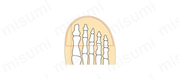 ハイ・ベルデコンフォート : ワイド先芯を採用しているため、親指をまっすぐに伸ばして着用できる