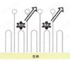 洗濯時（水中）では親水基が生地表面に配向し、洗濯水を呼び込んで汚れを落ちやすくする。
