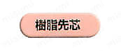 樹脂先芯