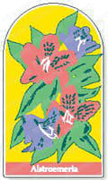 ジョイシール  製品画像7