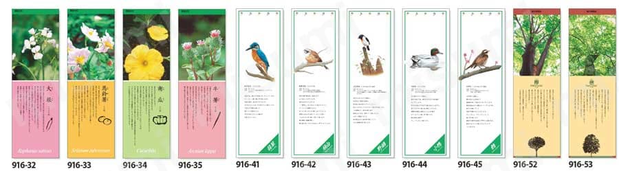 シールギャラリー 自然  製品画像
