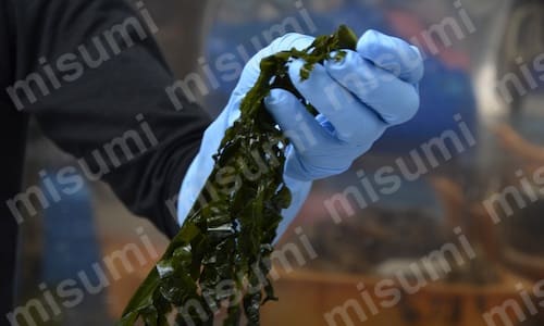 画像6
