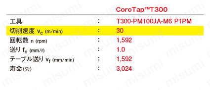 CoroTap（R） T300-PM100JA/JBシリーズ スパイラルタップ 加工事例  [P]