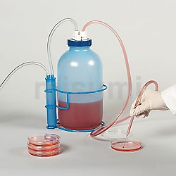 ボトルに入った　トランプ Amazon.co.jp: 酒デキャンタ - トランプボトル | 750l トランプ