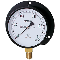 General Steam Pressure Gauge (B Type Vertical Type / ø75)