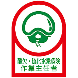 Helmet Stickers "Oxygen Deficiency And Hydrogen Sulfide Dangerous Operations Chief"