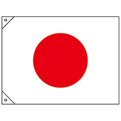 1点 250041 | Japanese Flag (Big) | JAPAN GREEN CROSS | MISUMI