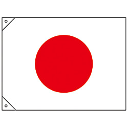 Japanese Flag (Small), JAPAN GREEN CROSS