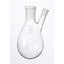共通摺合せナス型フラスコ 二口 200ml/500ml