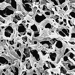 Durapore disc PVDF phobic 0.45μm 47mm wh pln