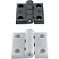 Plastic Hinges