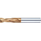TSC series carbide radius end mill, 2-flute / regular model