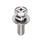 Cross Recessed Upset Screw with Washer - Single Item