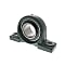 Ball Bearing Unit, Cast Iron Pillow