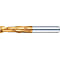 TSC係列硬質合金端銑刀,2-Flute / 3 d刀刃長度(常規)模型