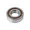 Cylindrical Roller Bearing (Radial)