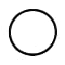 O-Ring SS Standard