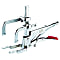 Clamp (combination type)