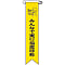 Vinyl Ribbon "Point and Call"