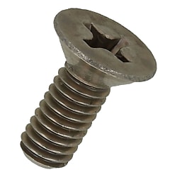 Alloy600 十字穴付皿小ねじ