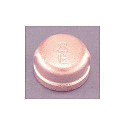 シール剤付き管継手 WS継手 キャップ