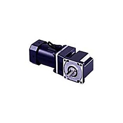 高出力インダクションモーター BHシリーズ 200W