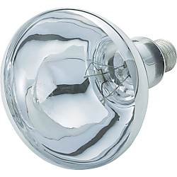 レフランプ （100V） 画像