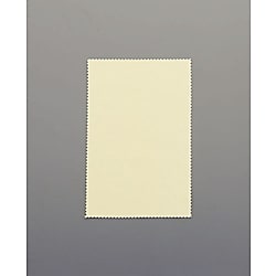 125x195mm 貴金属用磨きクロス 画像