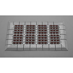 450x 750mm 土砂落としマット(ふち付)