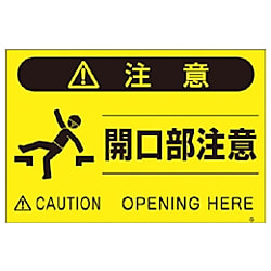 蛍光標識 画像