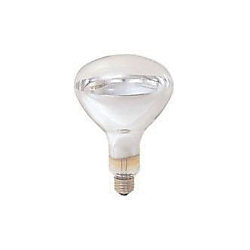 岩崎 赤外線電球１００／１１０Ｖ３７５Ｗ　
