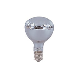 日動 安全投光器用交換球 レフ球（白熱球） ３００Ｗ ２２０Ｖ ３６５０Ｌｍ