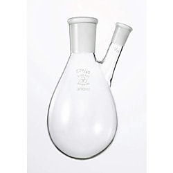 共通摺合せナス型フラスコ 二口 200ml/500ml
