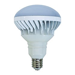 LED交換球 ハイスペックエコビック40W専用替球