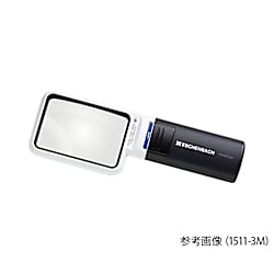 LEDワイドライト　ルーペ・モーペスセット