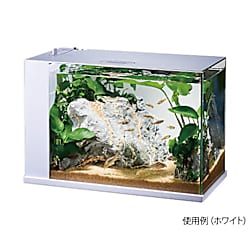 LED＆フィルター付オールインワン水槽セット ラクテリア
