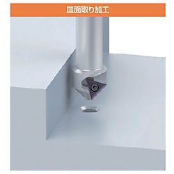 メントルデー