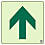Emergency Exit/Passage Guidance Indicator_Floor Affixed