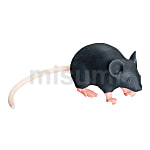 マウス型実習用動物シミュレータ　Mimicky（R）