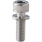 Socket Head Cap Screws - with Spring Washer