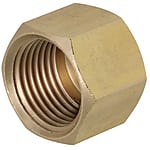 Steel Pipe Fitting - Cap, Brass, Tapped