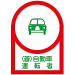Helmet Stickers "(Regular) Car Driver"